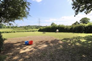 Paddock- click for photo gallery